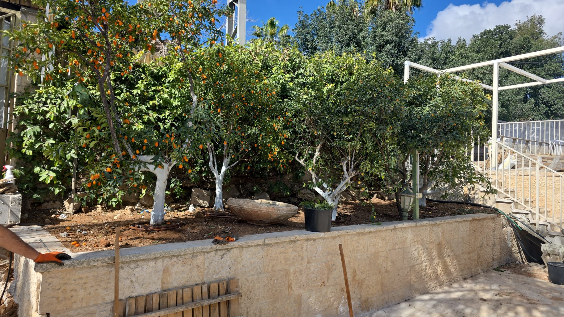 עבודת אבן וערוגת הדרים בטרסה
